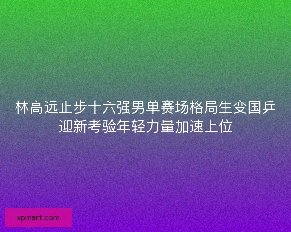 林高远止步十六强男单赛场格局生变国乒迎新考验年轻力量加速上位